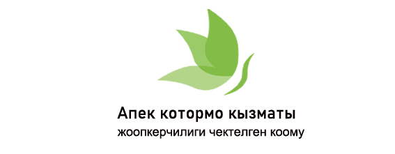 Apek Translation Service Almaty Address